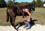 Justin's Farrier Service